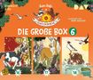 „Ungekürzt 6 CDs“, „Die große Box 6“, „Haferhorde“. Illustrationen mit Ponys, Einhorn und Vögeln in fröhlicher Szene., 6 CDs