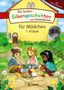 : Die besten Silbengeschichten zum Lesenlernen für Mädchen 1. Klasse, Buch