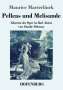 Maurice Maeterlinck: Pelleas und Melisande, Buch