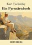 Kurt Tucholsky: Ein Pyrenäenbuch, Buch