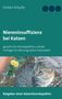Kirsten Schulitz: Niereninsuffizienz bei Katzen, Buch, Buch
