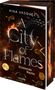 Rina Vasquez: A City of Flames, Buch