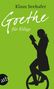 Klaus Seehafer: Goethe für Eilige, Buch