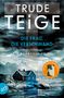 "TRUDE TEIGE, DIE FRAU, DIE VERSCHWAND, EIN NORWEGEN-KRIMI." Sturmwolken, ein blaues Haus am Ufer, Berge., Buch