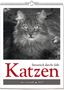 Vivendi Ars: Katzen - Literarisch durchs Jahr 2025, KAL