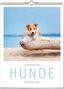Vivendi Ars: Literarischer Hunde Kalender 2027, KAL