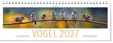 "Vogel 2027", literarischer Tischkalender: Sieben Vögel auf einem Zweig, unscharfer Hintergrund in Gelb und Blau.