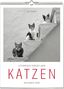 „Literarisch durchs Jahr. KATZEN. Kalender 2028.“ Drei Katzen sitzen auf weißen Stufen.