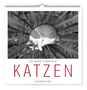 „Der große literarische KATZEN Kalender 2028“. Eine Katze schläft auf großen, radial angeordneten Blättern.