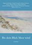 Sigune Schnabel: Bis dein Blick Meer wird, Buch