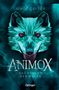 Aimée Carter: Animox 1. Das Heulen der Wölfe, Buch