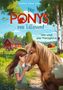 Kathrin Lena Orso: Die Ponys von Lillasund 1. Ida und das Ponyglück, Buch