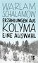 Warlam Schalamow: Erzählungen aus Kolyma, Buch, Buch