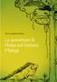 Sylvia Angelika Oelwein: Le avventure di Aisha nel lontano Malaya, Buch
