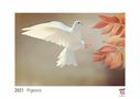 : Pigeons 2021 - White Edition - Timocrates wall calendar with US holidays / picture calendar / photo calendar - DIN A4 (30 x 21 cm), KAL
