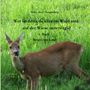 Hans- Josef Hungenberg: Wer ist denn da alles im Wald und auf der Wiese unterwegs?, Buch