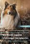 Madeline Kirschner-Kopmann: Wie Hunde negative Erfahrungen neu bewerten, Buch
