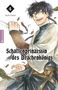 Akira Osora: Schattenprinzessin des Drachenkönigs 04, Buch