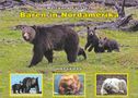 Wolfgang Förster: Bären in Nordamerika, Buch