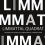 Thomas Pfann: Limmattal Quadrat, Buch, Buch