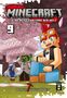Kazuyoshi Seto: Minecraft 09, Buch, Buch