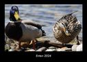 Tobias Becker: Enten 2024 Fotokalender DIN A3, Kalender