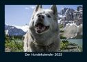 Tobias Becker: Der Hundekalender 2025 Fotokalender DIN A5, KAL