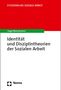 Hugo Mennemann: Identität und Disziplintheorien der Sozialen Arbeit, Buch