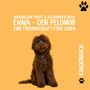 Alexander Kühl: Emma - Der Feldmob, Buch