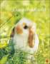 Wegler Monika: Kaninchenkinder Posterkalender 2024, Kalender