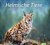 Heimische Tiere Bildkalender 2025, Kalender