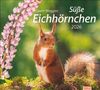times&more Eichhörnchen Bildkalender 2026, KAL