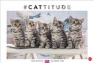 : Whiskas Katzenkalender 2026, KAL