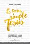 Steve Zschunke: It´s easy, simple Jesus, Buch