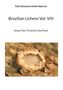 Felix Schumm: Brazilian Lichens Vol. VIII, Buch