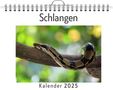 Florian Schäfer: Schlangen, KAL