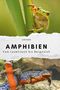 Leon Kaiser: Amphibien, Buch