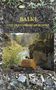 Elias Baik: Balki und der verlorene Schatz, Buch