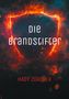 Hady Zürcher: Die Brandstifter, Buch, Buch