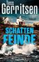 „Tess Gerritsen, Thriller, Schattenfreunde, blanvalet“. Stürmische Küste mit Leuchtturm und Häusern unter dramatischem Himmel., Buch