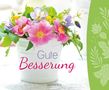 : Gute Besserung, Buch