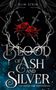 Elin Stein: Blood of Ash and Silver, Buch, Buch