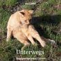 "Eva Lübbe, Unterwegs, Begegnungen mit Tieren." Eine orange Katze sitzt aufrecht im Gras und schaut nach unten., Buch