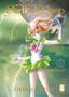 Naoko Takeuchi: Pretty Guardian Sailor Moon - Eternal Edition 04, Buch