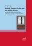 Marcel Krings: Goethe, Flaubert, Kafka und der schöne Schein, Buch