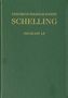 Friedrich Wilhelm Joseph Schelling: Friedrich Wilhelm Joseph Schelling: Historisch-kritische Ausgabe / Reihe II: Nachlaß. Band 1,2: Kommentar zum Buch >Hiob< (1790-1793), Buch