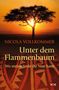 Nicola Vollkommer: Unter dem Flammenbaum, Buch