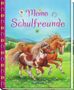 Meine Schulfreunde, Buch