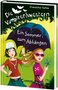 Franziska Gehm: Die Vampirschwestern 09. Ein Sommer zum Abhängen, Buch
