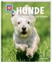 Christine Paxmann: WAS IST WAS Band 11. Hunde. Helden auf vier Pfoten, Buch